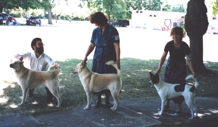 from L to R: Holit, Amitz, and Kayla